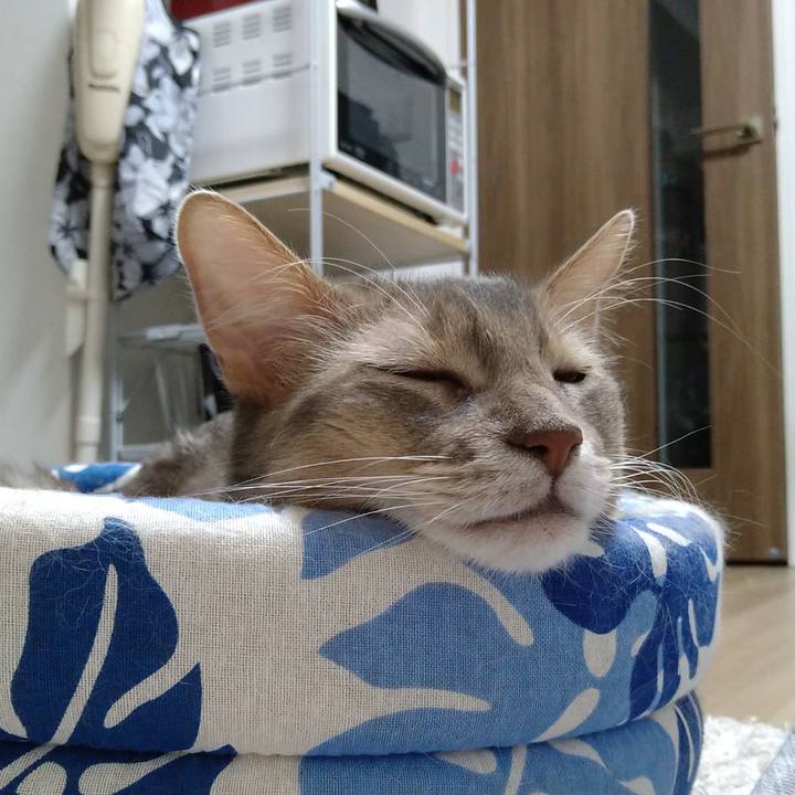 9570f137 a83d 4d13 8a91 f661cd100357 1605867530727