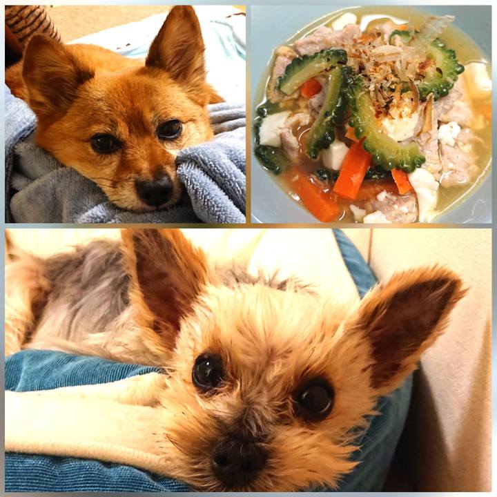 95712971 665a 4958 9b20 d9f416e085f9 1630153811826