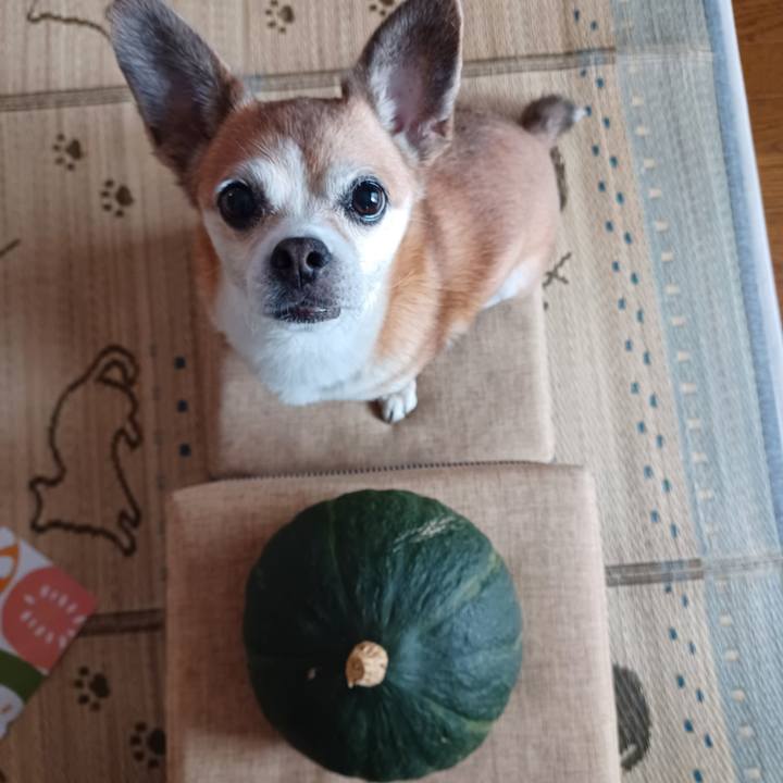 95715d08 2d65 4251 9da3 dc73186ecbc1 1756164195031