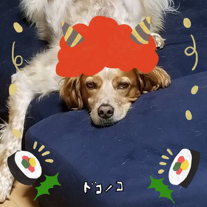 9571d306 97bf 4873 b734 d0542c7105cb 1706957747907