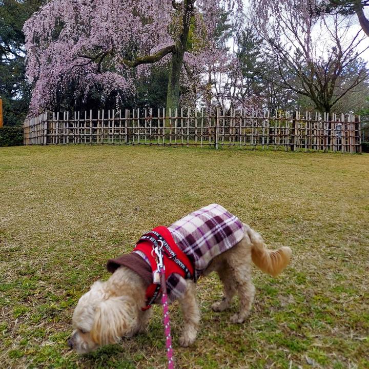 9571e84a e268 45b6 ab1d 825a173c9cfd 1679110520641