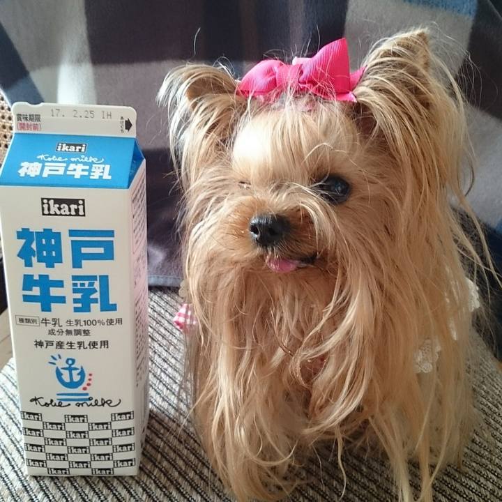 9571ff5b 8a6a 4e53 a8fe f07deb380ca6 1759235016881