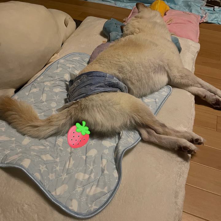 95727d22 0b77 470b 8f03 db49e6af3b2f 1662388192792