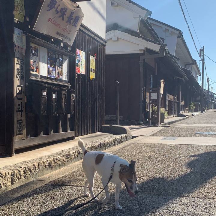 9572ce63 888a 4de4 b0c1 0694dc8f7a2a 1568503827207