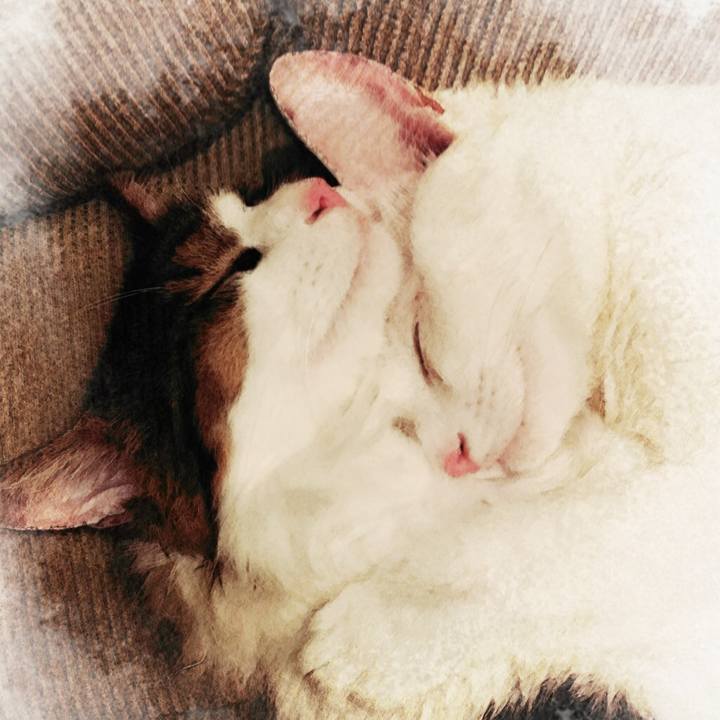 957320ac fcc9 4c5d 8224 38c9031935ea 1510391636700