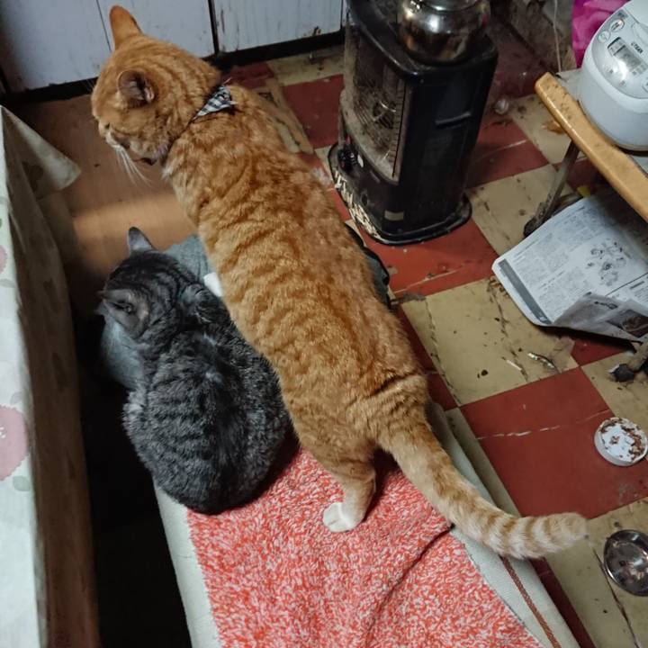 957375d0 25ed 4819 a4e4 80c25c50874a 1576144498812