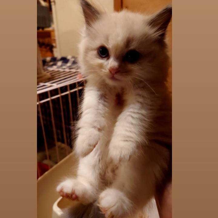 95737fab 790c 4291 9979 702222ef7f94 1726051157064