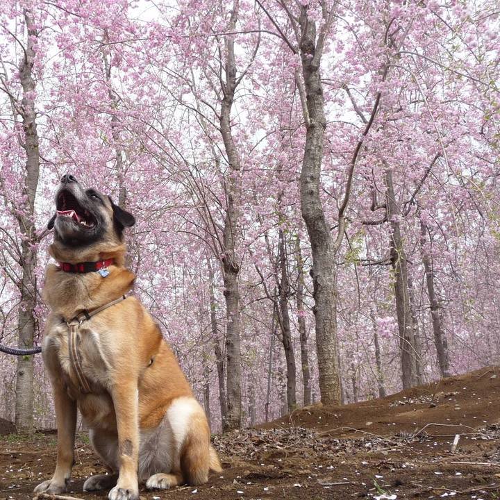 9573915e b4cb 42cf 90db 0114da923ee8 1712453762647