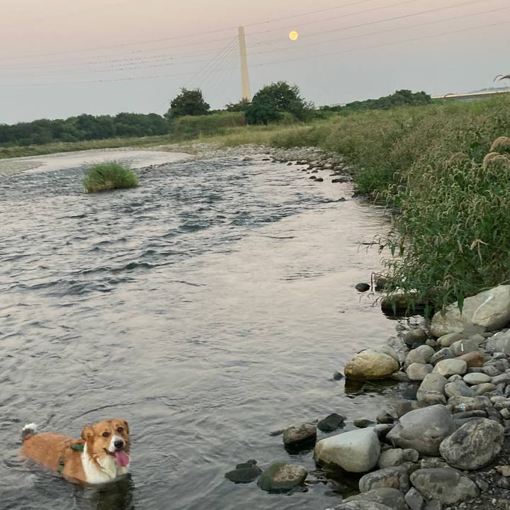 9573d9af 972d 4ac7 9b79 c4fdaa8f73aa 1695944841834