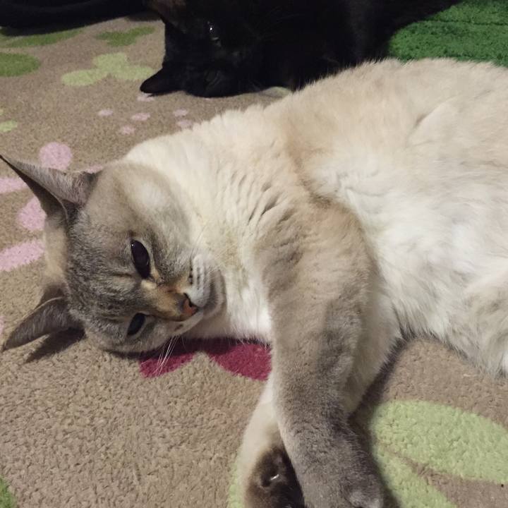 9573f22e 92d2 491c 8c37 7502c7665b2c 1548932059076