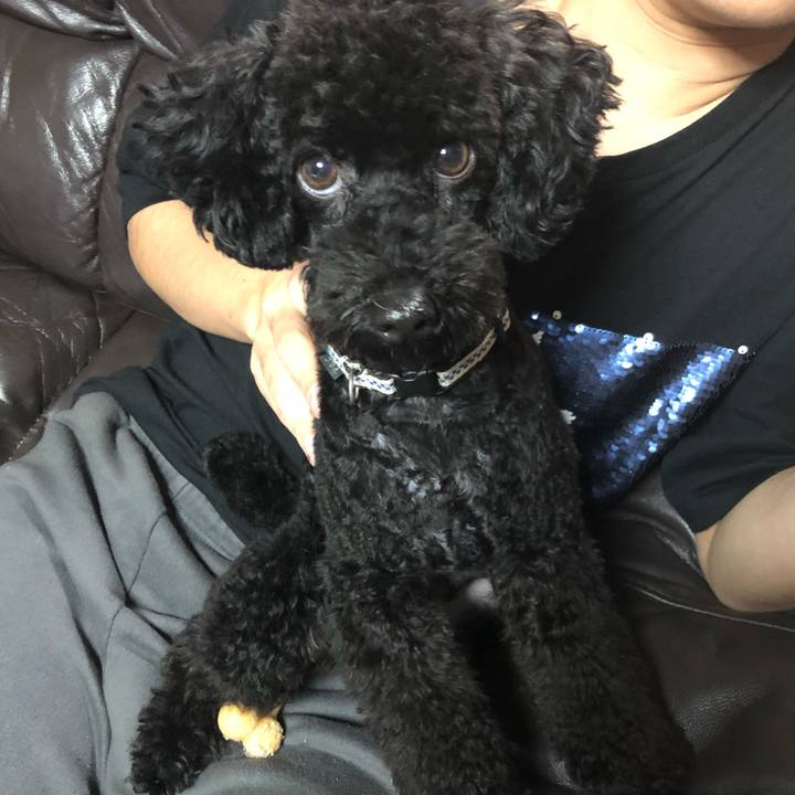 9574547f ac7f 4212 8280 8703610c316a 1542059247234