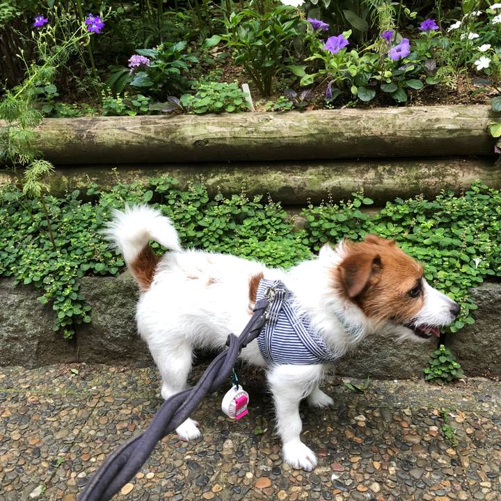 95746ae8 ea4e 485b ac2d cb04f0c5ac53 1530046745553