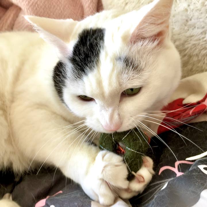 95747cb5 edfd 4376 9d9b 0e3da55c261d 1577346487315