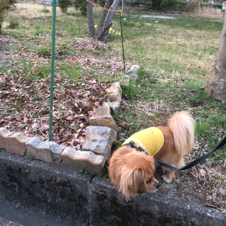 95749aa8 a18d 40ae a5cc ae7ee3b6aae4 1522013436037