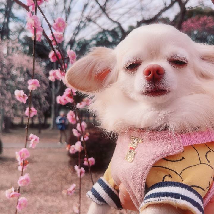 9574ae14 2feb 4daf be71 5e47889f400f 1708152598309