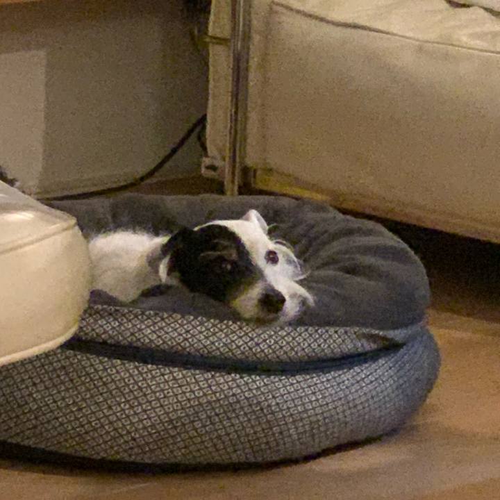 9574e28f b222 4c90 ab3b 10356e5db30e 1681469682279