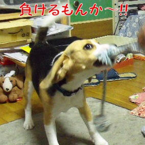 9574f3c9 fcba 458a 9fe3 63ac6ae187d4 1684715326592