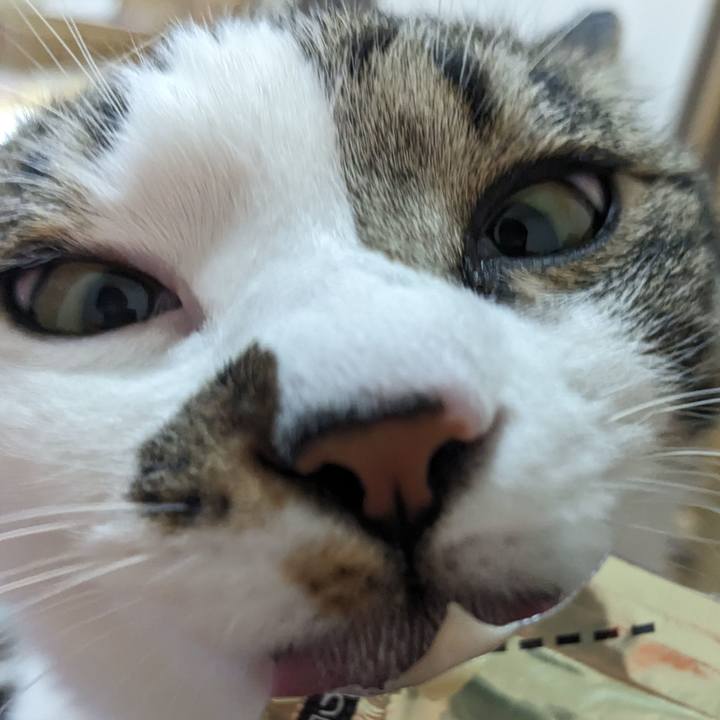 95752374 362c 4e63 b842 16715e2ffaa9 1713227363541