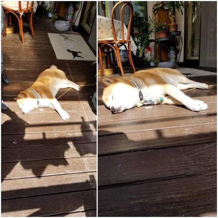 9575550f 1be8 480c 9318 796ca17541f5 1590537765117