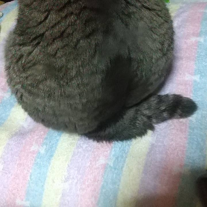 9575c829 6775 4f56 93d3 6a6dfcdd2843 1686740841977