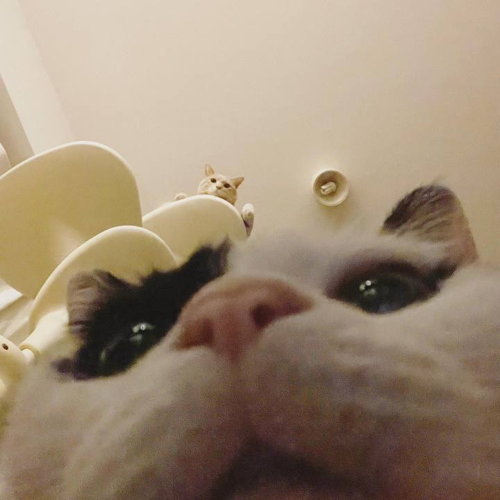 95761b1b 3813 441e 8db1 c823ab9b6eed 1629118392634