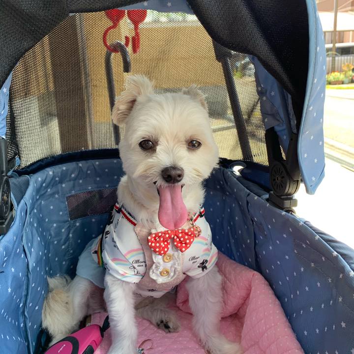 95761cdb fae3 4625 b35b 382914e9a8c3 1630211817425