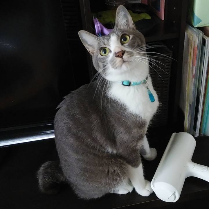 95763f74 f82a 4348 a0a8 2c8ece5969db 1594767746862