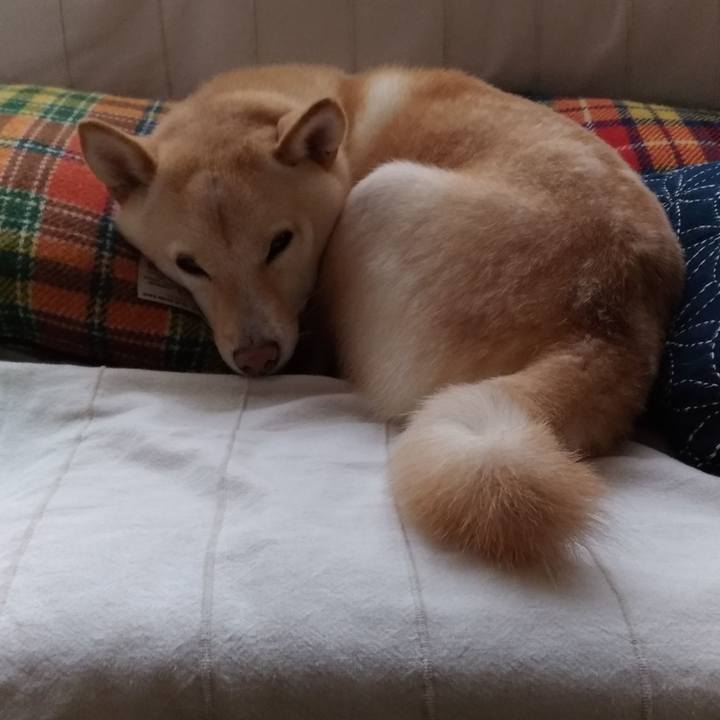 95764d1f cf7a 4c26 8b7a 1c1f624dc9ca 1539481450459