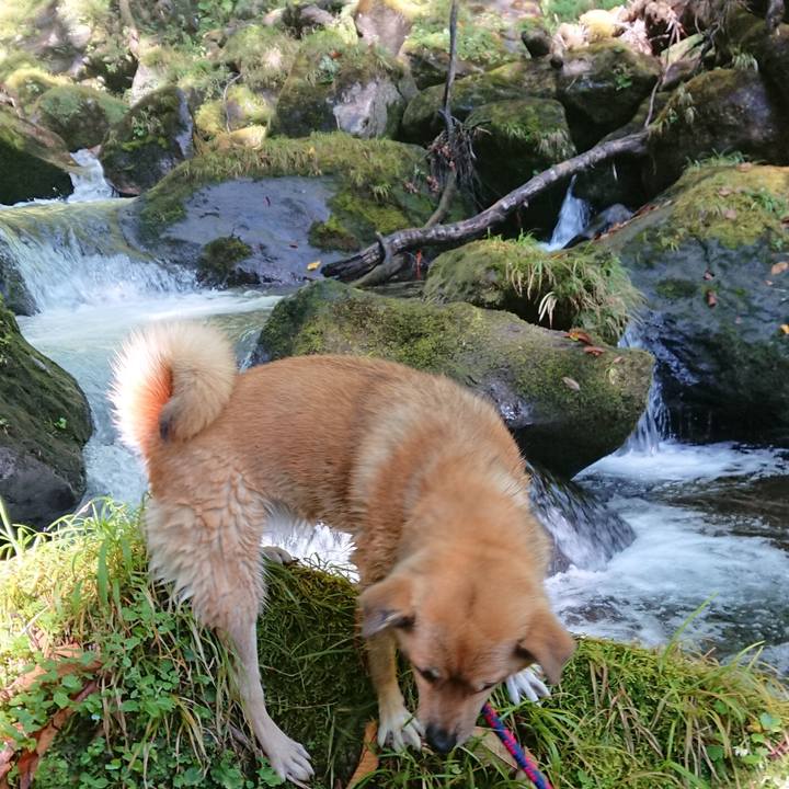 957655b1 f52a 4bf3 9d88 593678010a40 1569839950903