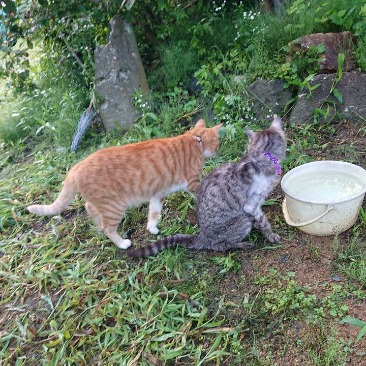 957664da 87af 4533 986a d67c7255e6bc 1595796825003