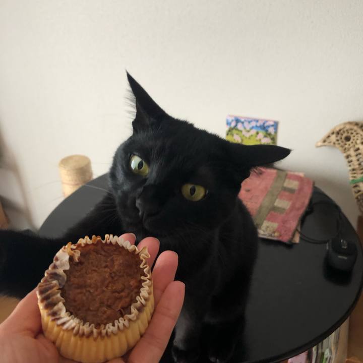 9576cff9 c6a2 41cc a87d ddafb670c592 1555029913631