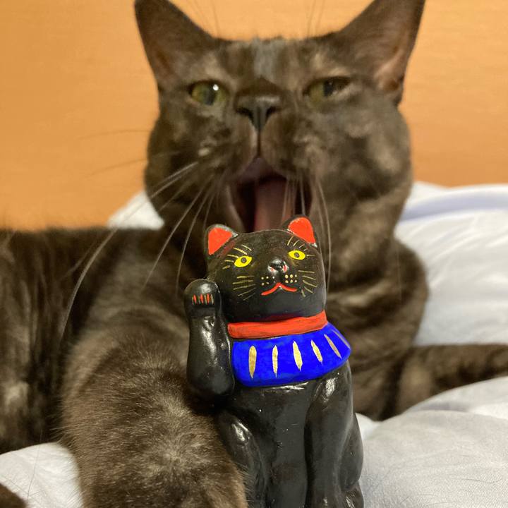 9576d5e7 6a39 40a3 974d d6b2fa6452e7 1719960393757