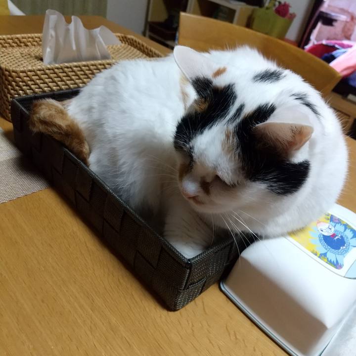 9576dfcb 098d 4d16 a628 f9292012a961 1681557668072