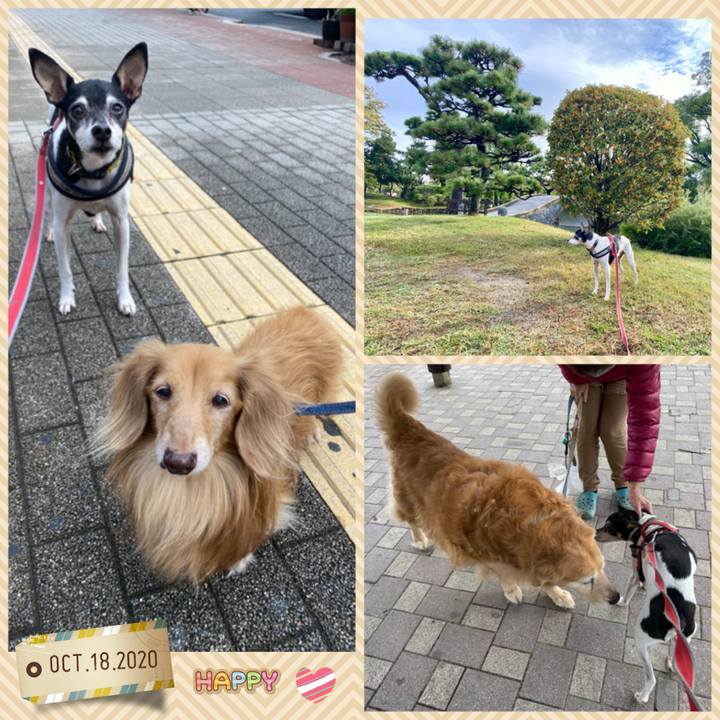 95771357 b928 494d 99bc 2428d1f561dc 1602992730974