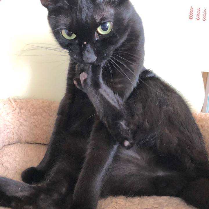 9577376a 525e 48cd 9c64 b5dcfa76df6d 1567080184807