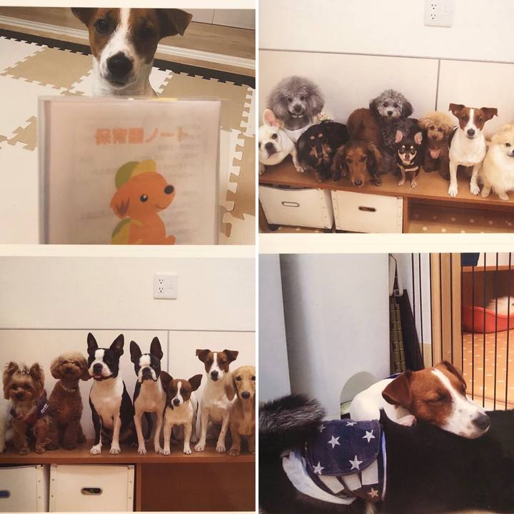 95775854 2ed2 43f5 aa42 b1caa0e35134 1537444760271