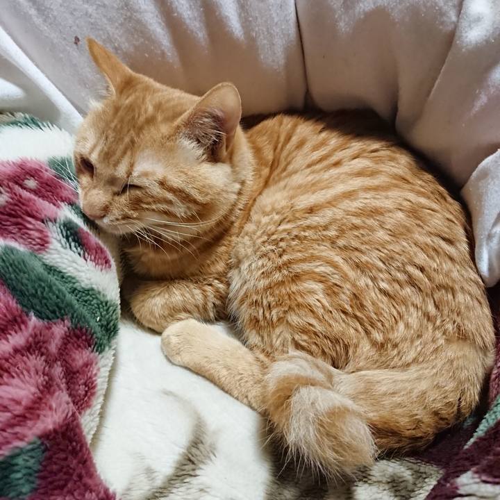 95779ac8 e1fc 4297 9e0e 6b064d771d40 1638620979674