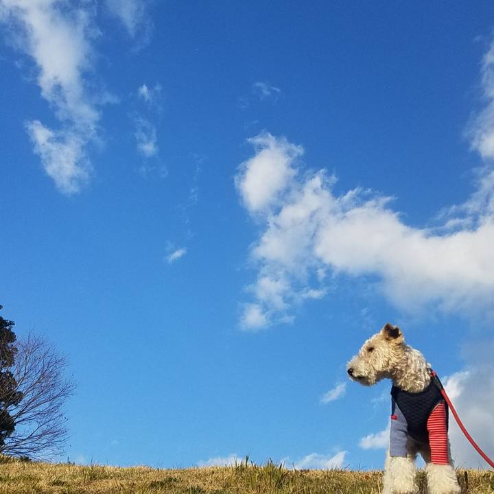 9577ab2d 51e3 40d7 b95d f753b7d03bb0 1582446437888