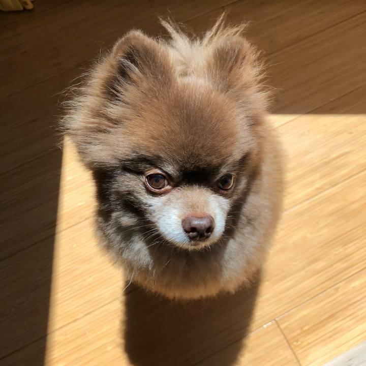 9577e7ae a8d9 49d7 b7f4 17d99c38a8e9 1556858688741