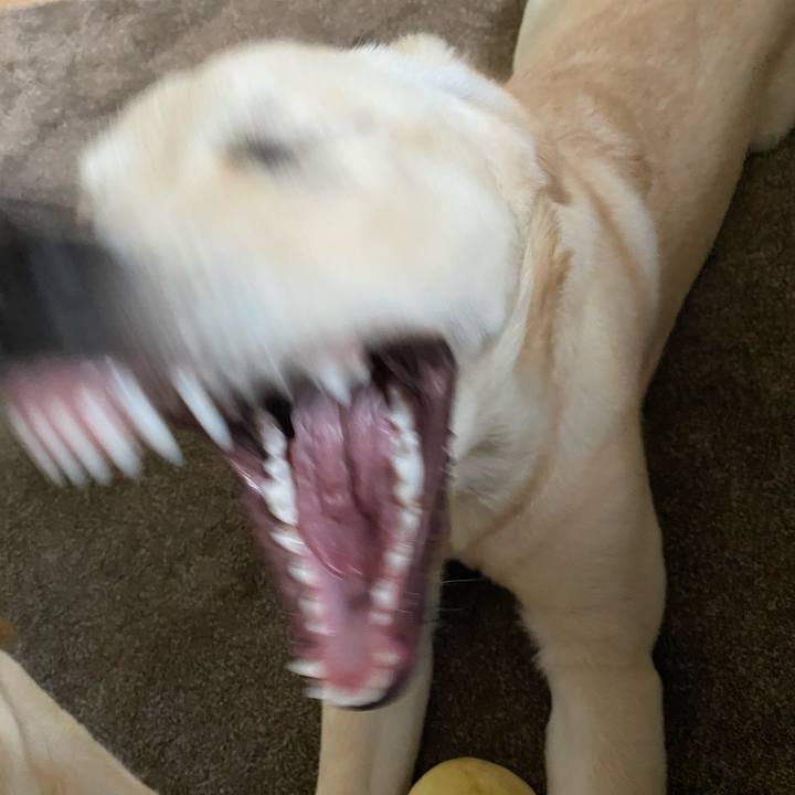 9577fd53 5f7b 46a1 96eb f837fa8a6b7f 1620171501759