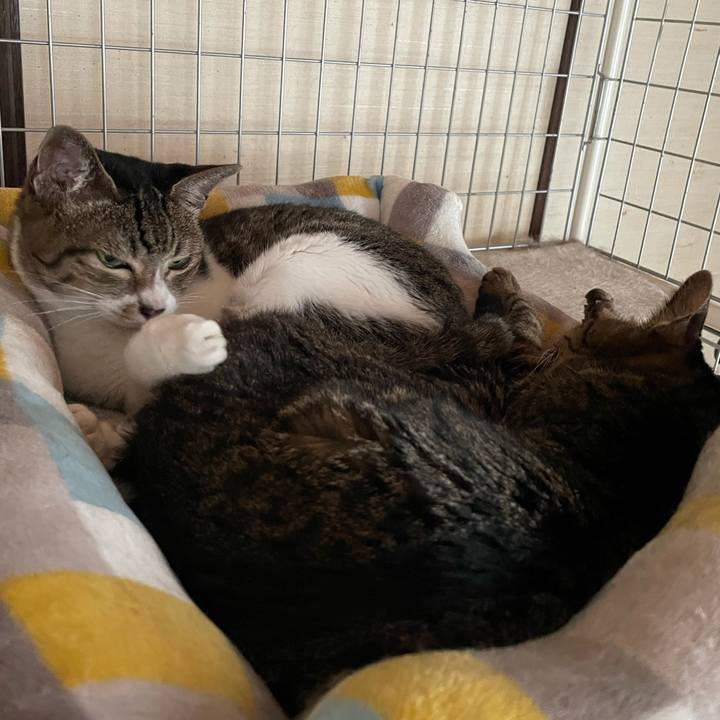 957803c6 0729 438f a24b b7e89984ffd4 1630892064801