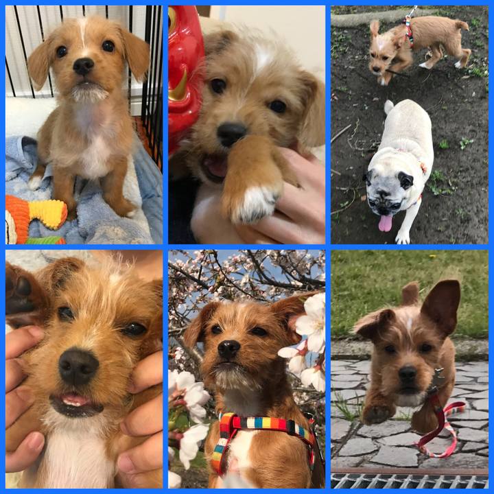 95782a3b 77ef 46eb 9252 52f767713fb7 1525128302232