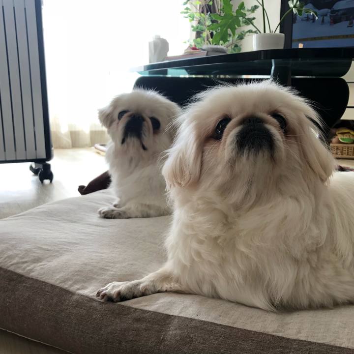 95783fe6 3d39 4b82 b059 50fbf1397384 1549023734863