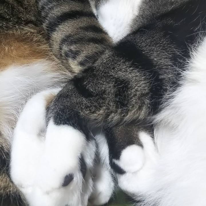 95784bfb 90fa 4806 8ec1 389f9215509b 1603702143418