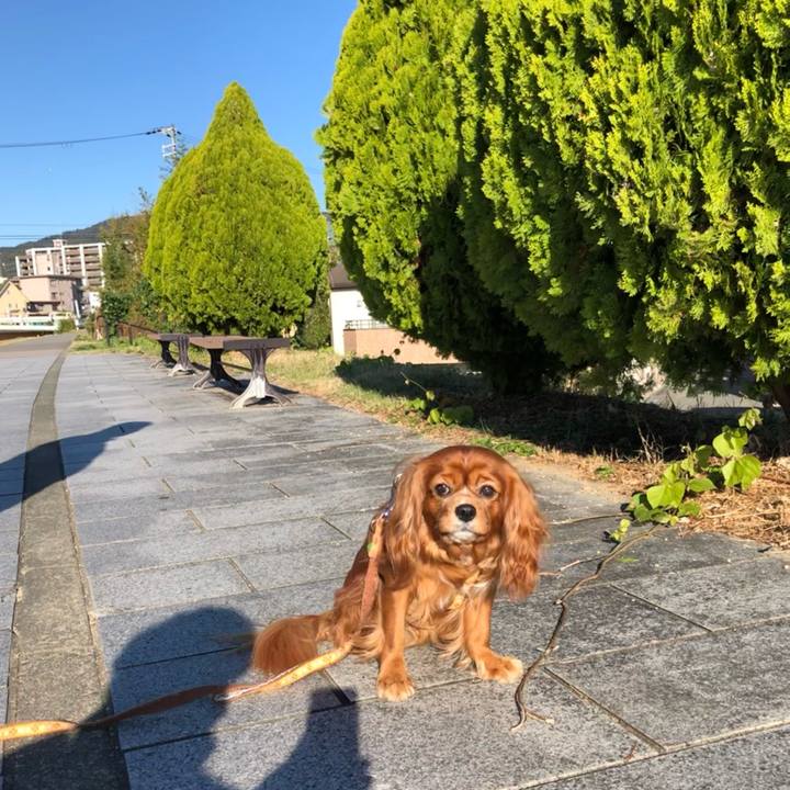 95785417 40cc 4a77 914b 7f15377718d7 1636764327361