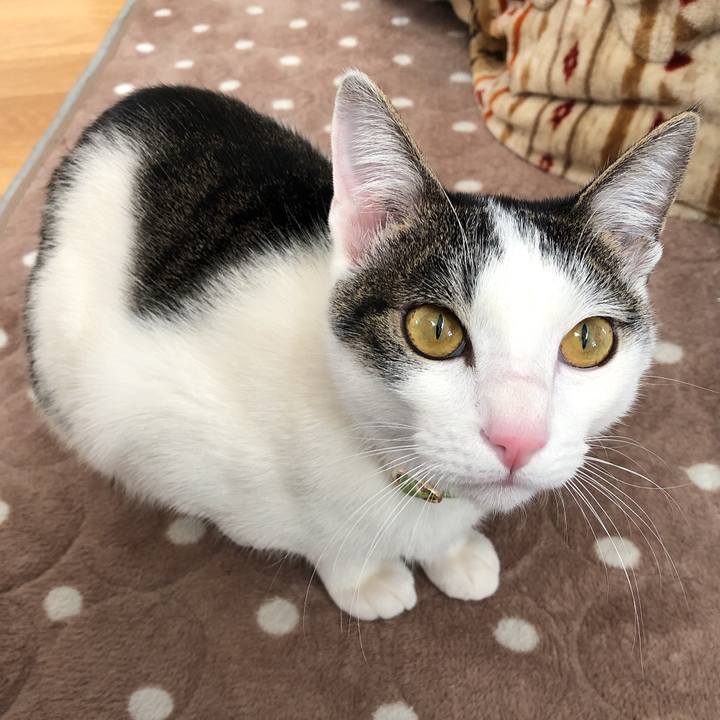 957869c9 808c 4443 8ae4 394dd1fda5ab 1579592072210