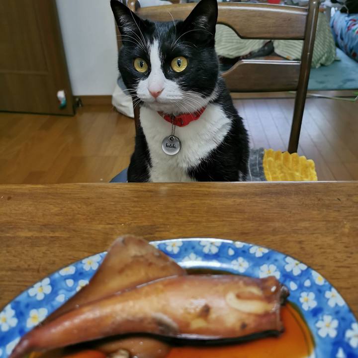 95786e17 d873 49dc 96e9 f1c2c94b815d 1649648450802