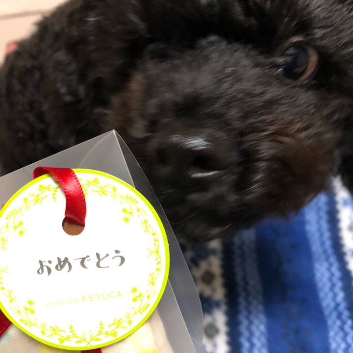 9578792e d0d4 477d bf63 2b8073255003 1551532966638