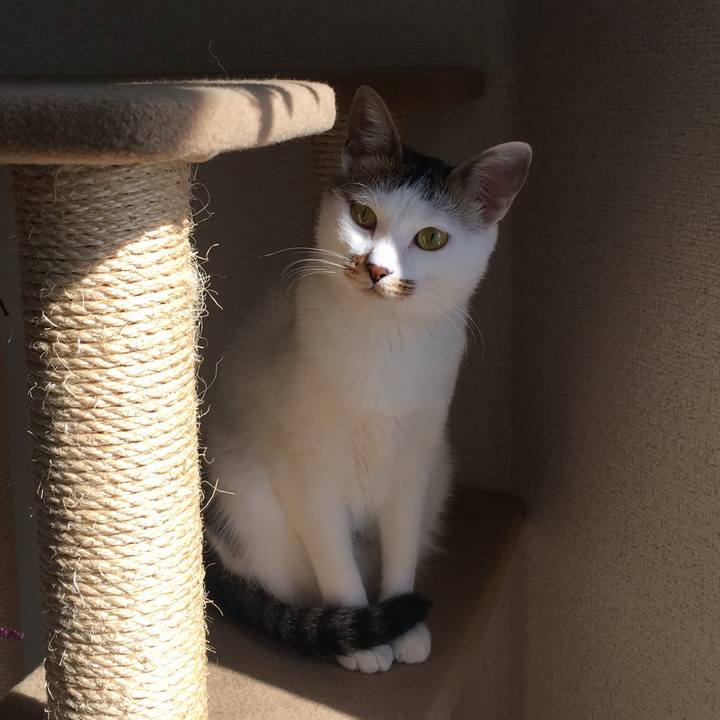 957884ad 29c2 4568 8028 7fed8f8507b3 1509931561521