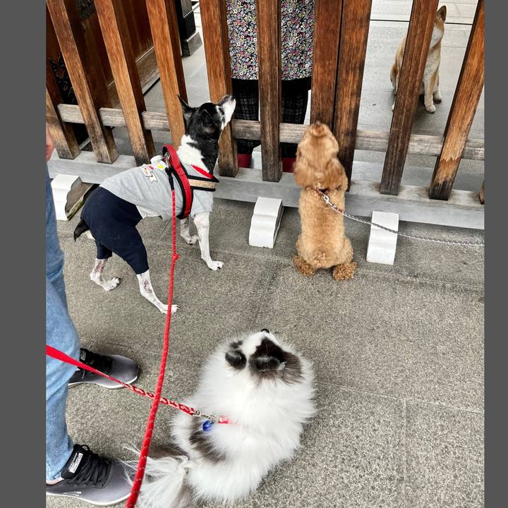 95788711 9295 4c33 b493 f1966f91641c 1653124964877